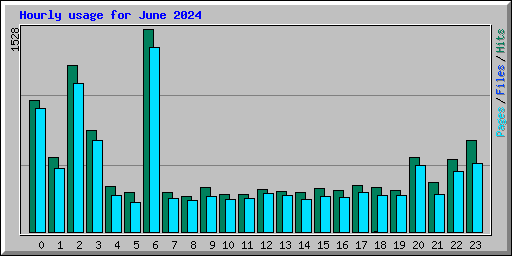 Hourly usage for June 2024