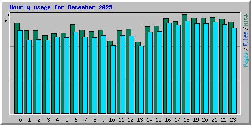 Hourly usage for December 2025