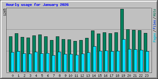 Hourly usage for January 2026