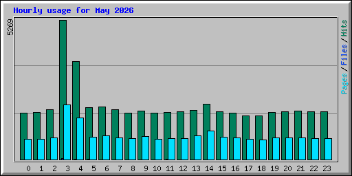 Hourly usage for May 2026