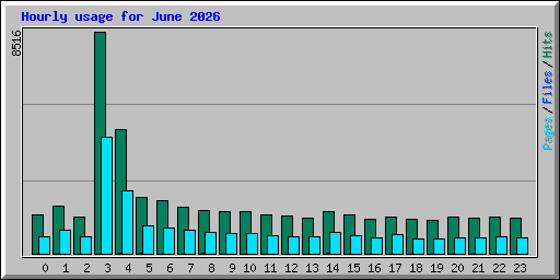 Hourly usage for June 2026
